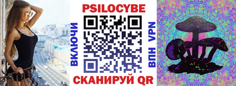 Псилоцибиновые грибы Psilocybe  Холм 